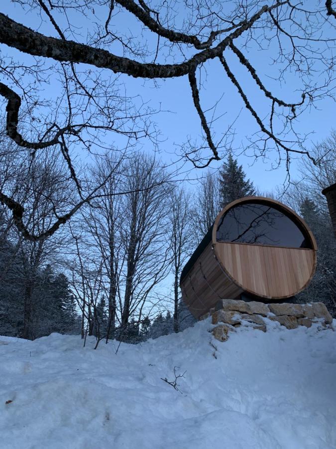 Chalet Ott - Apartment In The Mountains With Sauna Saint-Cergue Exteriör bild